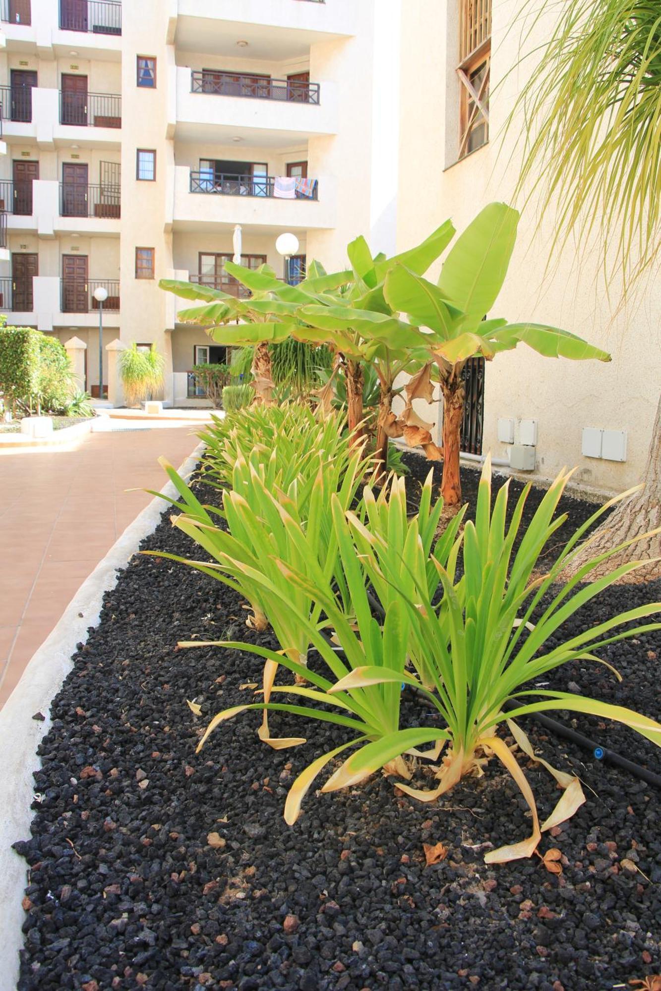 Las Americas - 2 Bedrooms - Flayla-A Arona  Kültér fotó